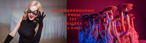 прущий лед Алзамай