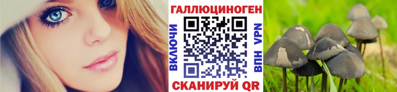 Псилоцибиновые грибы GOLDEN TEACHER  купить наркотик  Анапа 